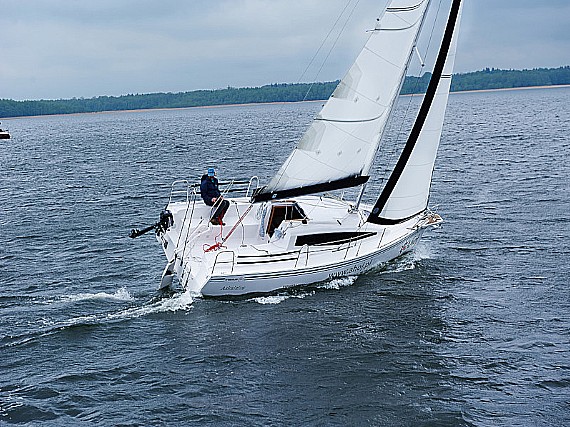 Maxus 26 Prestige 8/1