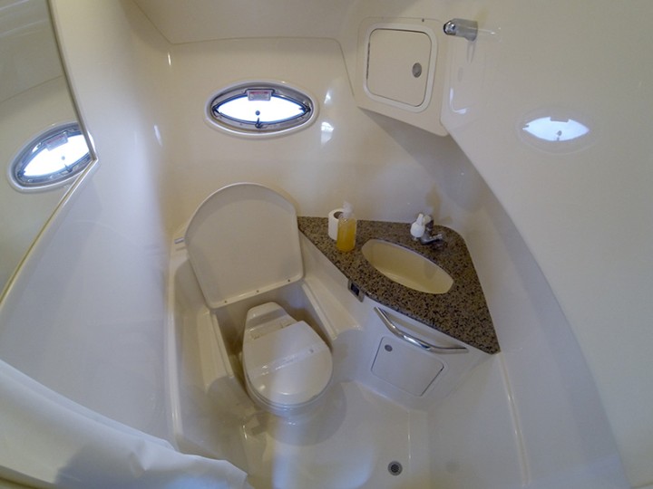 Sea Ray 455 - Bathrooom